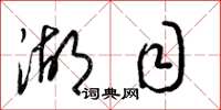 梁锦英湖目草书怎么写