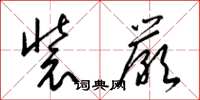 梁锦英装严草书怎么写