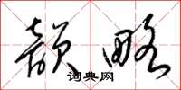 梁锦英韵略草书怎么写