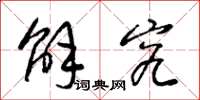 梁锦英解究草书怎么写