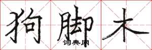 骆恒光狗脚木楷书怎么写