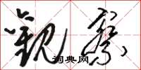 骆恒光观察草书怎么写