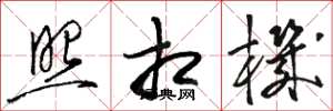 骆恒光照相机草书怎么写