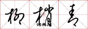 梁锦英柳梢青草书怎么写
