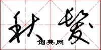 梁锦英秋发草书怎么写