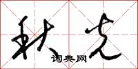 梁锦英秋光草书怎么写