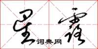 梁锦英星露草书怎么写