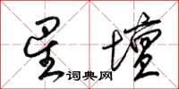 梁锦英星坛草书怎么写