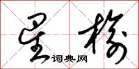 梁锦英星榆草书怎么写