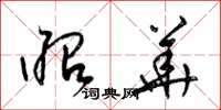 梁锦英昭华草书怎么写