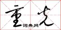 梁锦英重光草书怎么写