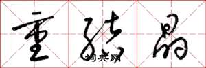 梁锦英重结晶草书怎么写