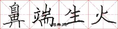 骆恒光鼻端生火楷书怎么写
