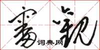 骆恒光审观草书怎么写