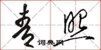 骆恒光青照草书怎么写