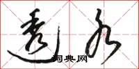 骆恒光透水草书怎么写