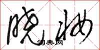 骆恒光晓妆草书怎么写