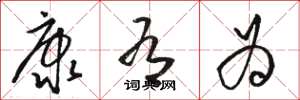 骆恒光康有为草书怎么写