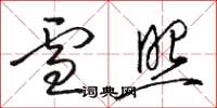 骆恒光雪照草书怎么写