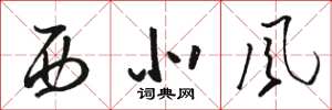 骆恒光西北风草书怎么写