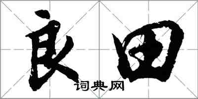 胡问遂良田行书怎么写