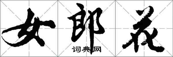 胡问遂女郎花行书怎么写