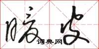 骆恒光暖皮草书怎么写