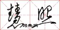 骆恒光慧照草书怎么写