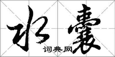 胡问遂水囊行书怎么写