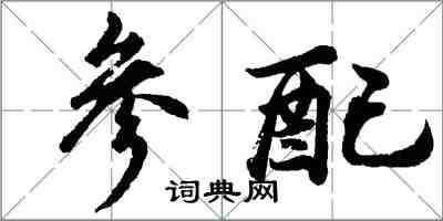 胡问遂参配行书怎么写