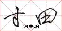 骆恒光寸田行书怎么写