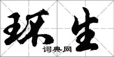 胡问遂环生行书怎么写