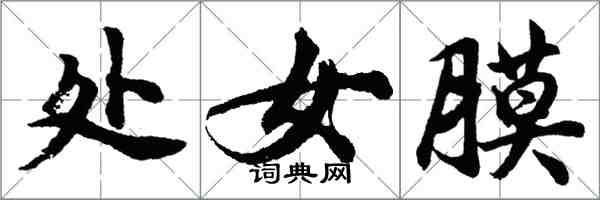胡问遂处女膜行书怎么写
