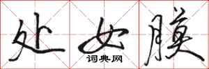骆恒光处女膜行书怎么写