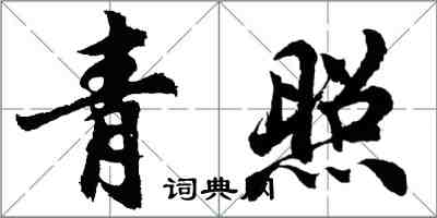 胡问遂青照行书怎么写