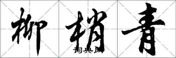 胡问遂柳梢青行书怎么写