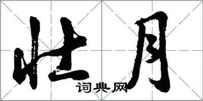 胡问遂壮月行书怎么写