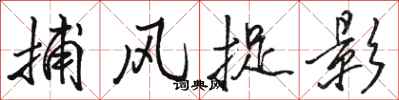 骆恒光捕风捉影行书怎么写