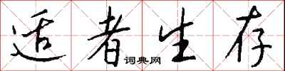 钱沛云适者生存行书怎么写