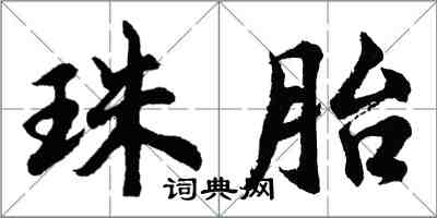 胡问遂珠胎行书怎么写