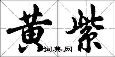 胡问遂黄紫行书怎么写