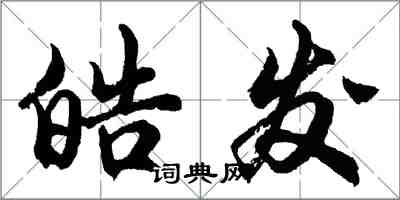 胡问遂皓发行书怎么写