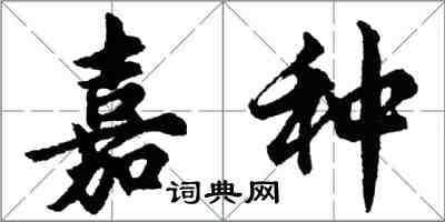 胡问遂嘉种行书怎么写