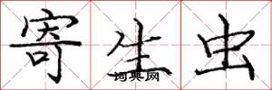 庞中华寄生虫楷书怎么写