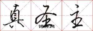 骆恒光真圣主行书怎么写