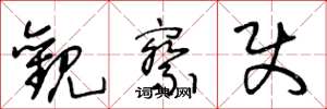 王冬龄观察使草书怎么写