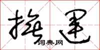 王冬龄抚运草书怎么写