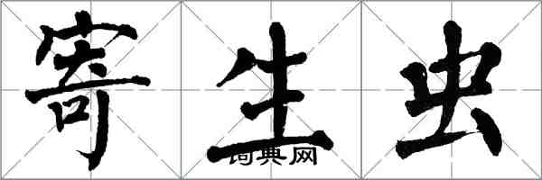 翁闿运寄生虫楷书怎么写