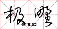 王冬龄极野草书怎么写