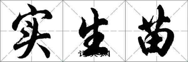 胡问遂实生苗行书怎么写